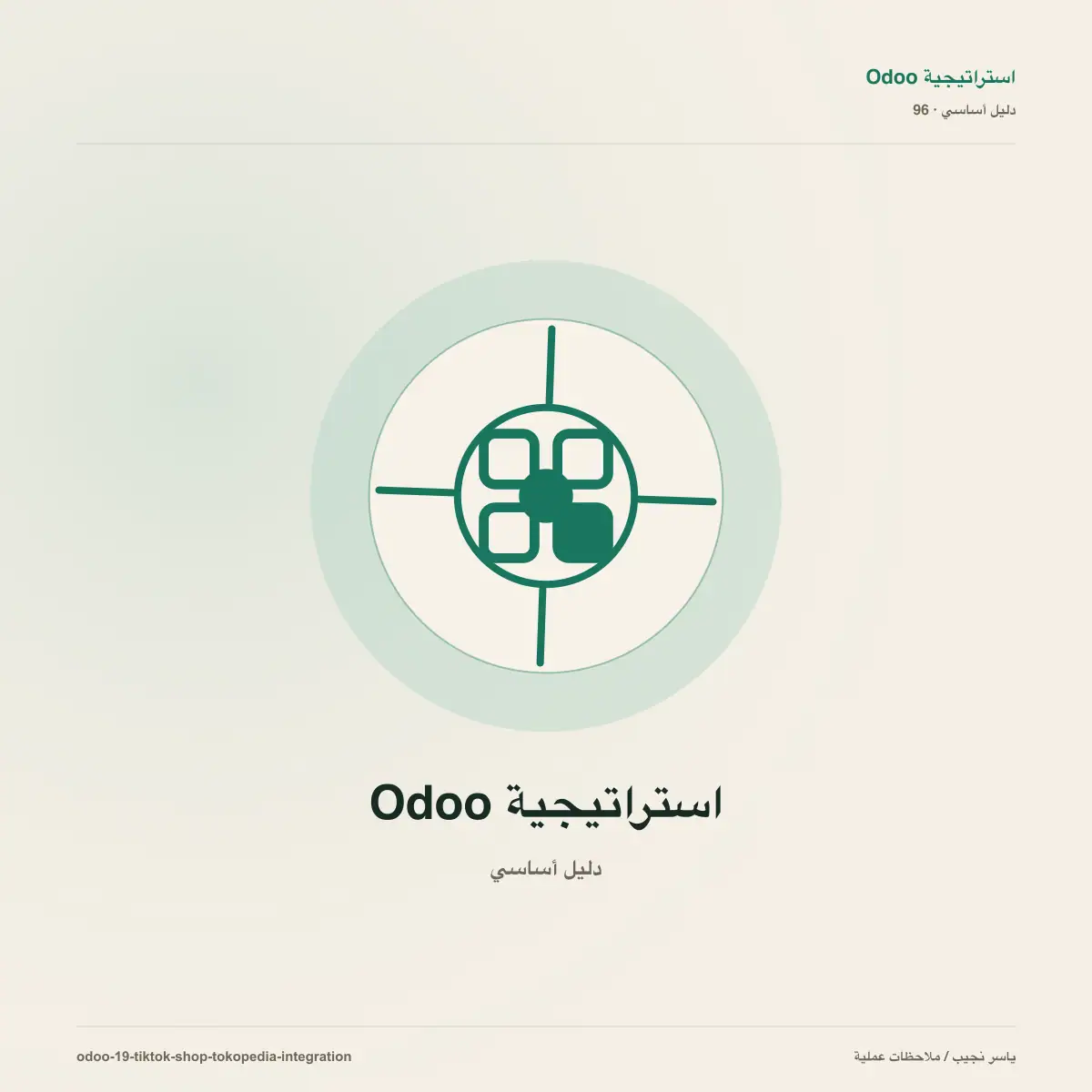 تكامل Odoo 19 مع TikTok Shop و Tokopedia: ما الذي يحله فعلاً؟