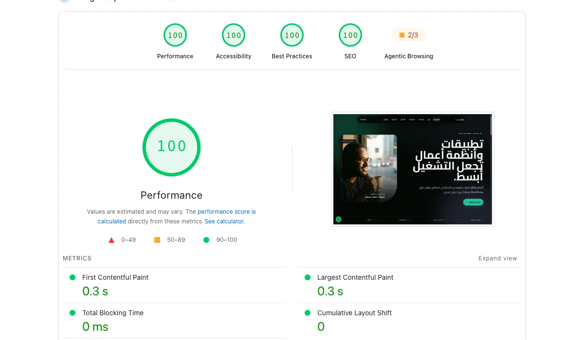 PageSpeed Insights report for Yasir Najeep showing 100 for performance, accessibility, best practices, and SEO