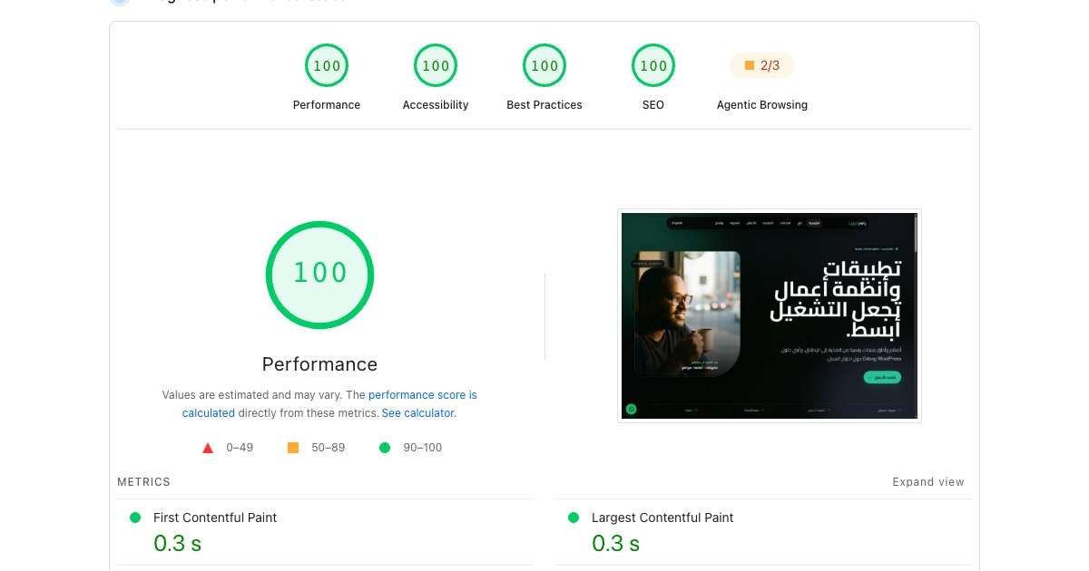 كيف حققت 100/100 في PageSpeed Insights دون التضحية بالتصميم
